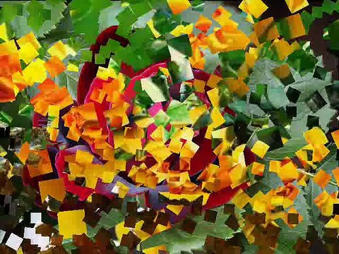 Eyüphan Gülüm Gülüm