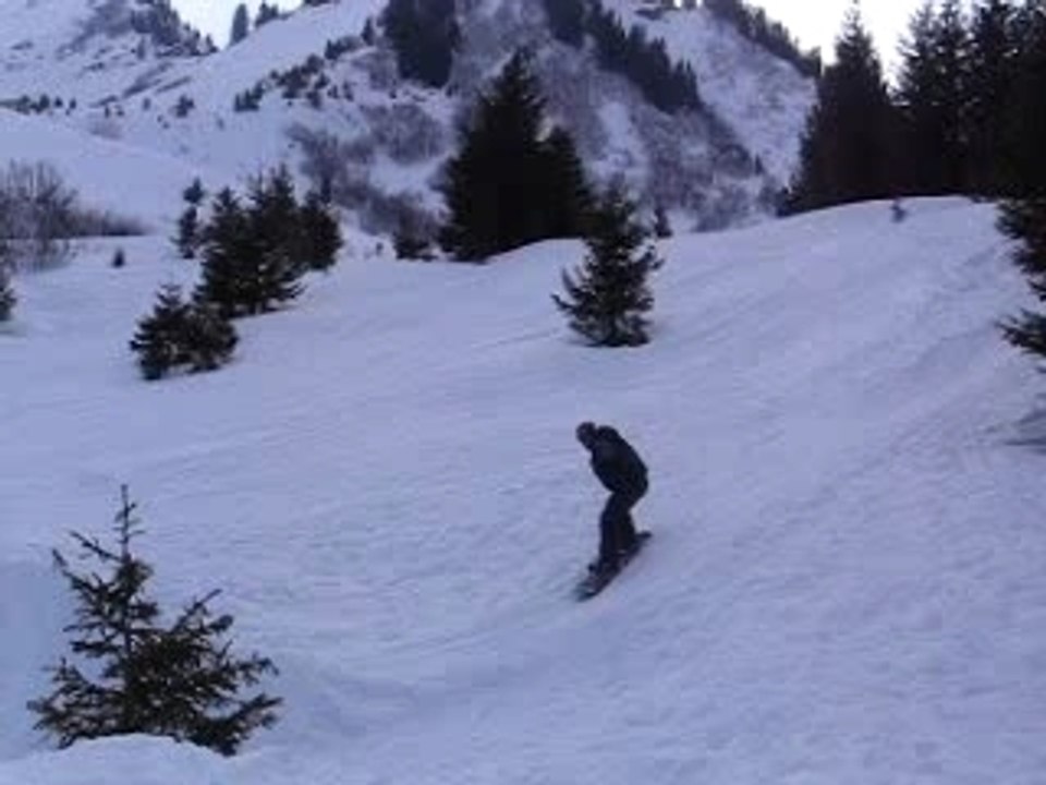 MVI_1230
