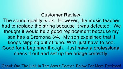 Cervini HV-700 Novice Violin Outfit, Full-size