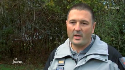 Des sangliers moins craintifs : Interview de Philippe Dulac