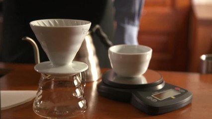 Stumptown + Bon Appétit Brew Guide - How to Brew Coffee with a Hario V60