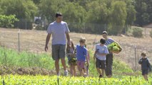 Little Chefs Big Meals: A Day on the Farm With Suzanne Goin