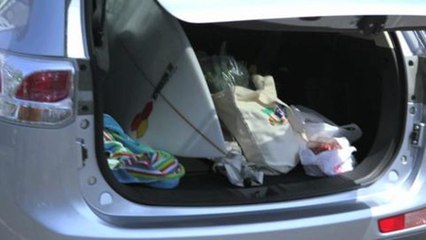 Little Chefs, Big Meals: Josiah Citrin