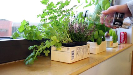 Living in Birmingham