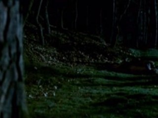 Protect Yourself Today 🛡️