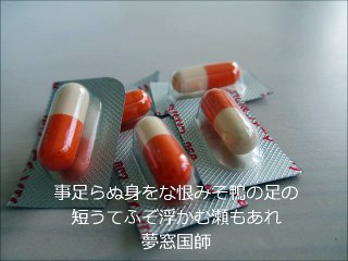 中村虎彰（起業アドバイザー）の光る名言集～夢窓国師～