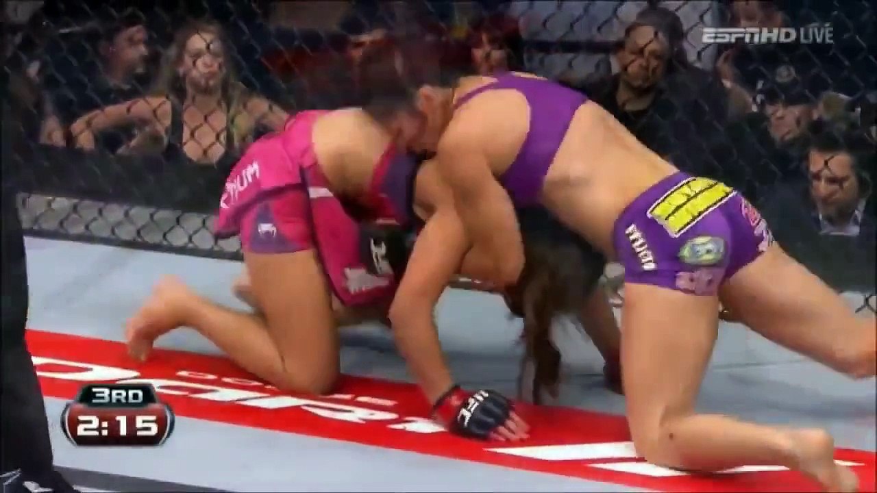 MMA The Greatest Sport in the World UFC 2013 Highlight