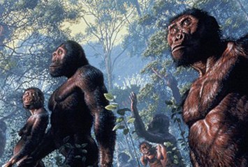 EVRİM | Türlerin Serüveni : TR [3/3]