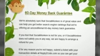 Social monkee review 2013 - social monkee does it work