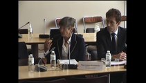 Audition de Mme Corinne Desforges, inspectrice générale de l’administration - Mercredi 19 Novembre 2014