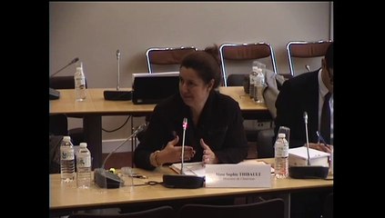 Audition de Mme Sophie Thibault, directrice de la modernisation et de l’action territoriale au ministère de l’Intérieur - Mercredi 19 Novembre 2014