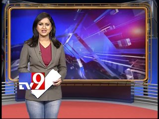 Nirmala sitaraman,Chiranjeevi adpoted 3 villages