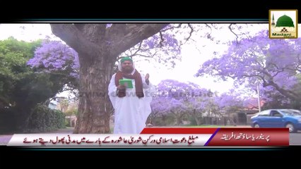 Package 01 - Pretoria South Africa Rukn-e-Shura Kay Madani Phool (1)