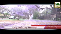 Package 06 - Pretoria South Africa Rukn-e-Shura Kay Madani Phool