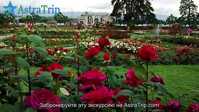Авто-пешеходная экскурсия по Женеве