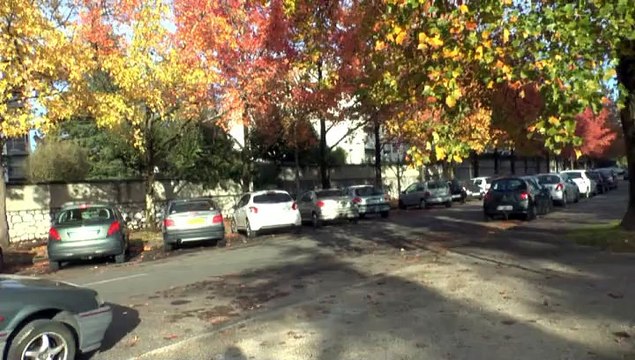 LES PROMENADES DE MICHOU64 W-DD.D. - 18 NOVEMBRE 2014 - QUARTIER TRESPOEY - N° I - DES TOURS D'ASPIN A L'AVE DES LAURIERS..