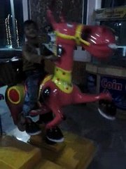 muhammad hassan & muhammad hassnain