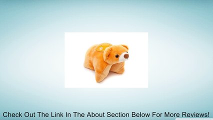 Snuggle Stars TM Bear Constellation Night Light Review