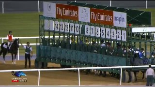 06.11.2014 Meydan (Dubai-UAE) 1.Race Emirates Skycargo - Maiden  Distanz_ 1.400 m