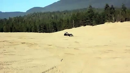 Bu Adamlar Çılgınlıkta Sınır Tanımıyor