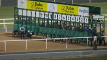20.11.2014 Meydan (Dubai-UAE) 4.Race Dubai Duty Free and Jumeirah Jumeirah Hotel - Handicap 1.200 m