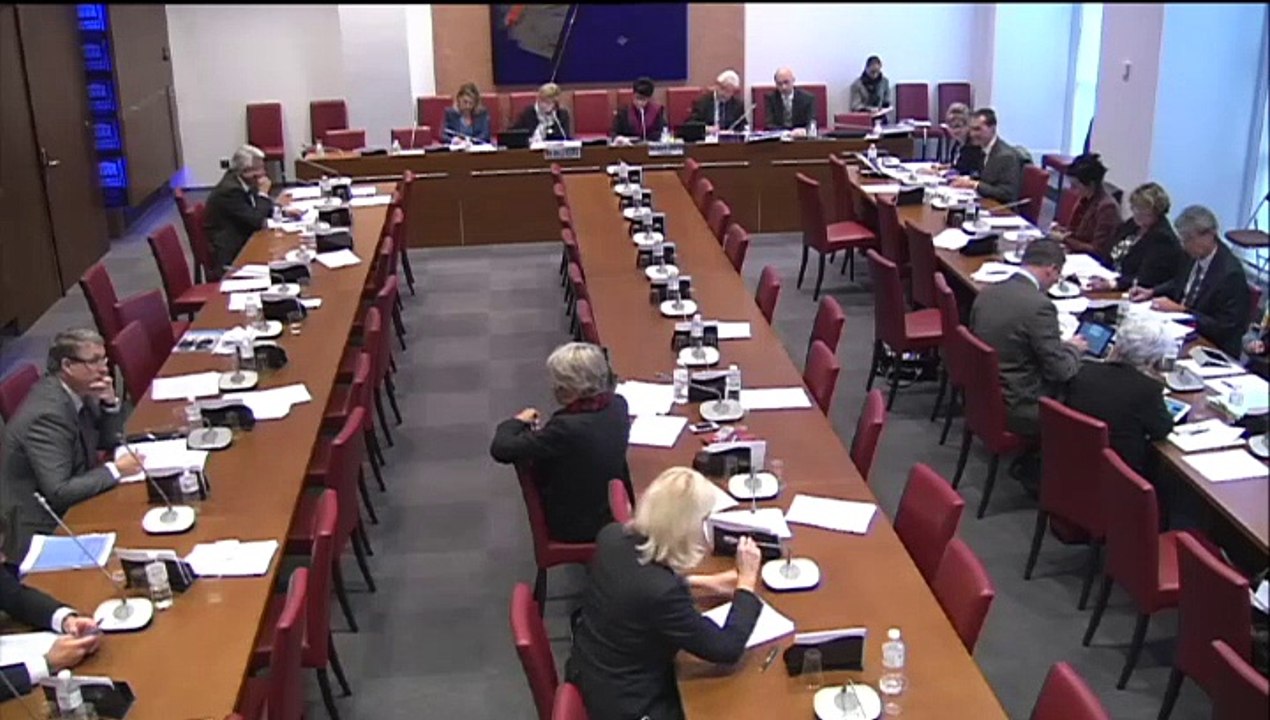 Intervention en Commission des Affaires sociales sur le stationnement pour les personnes en situation de handicap