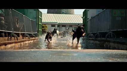 Fehér Isten: Trailer HD VO st bil/ OV tw ond