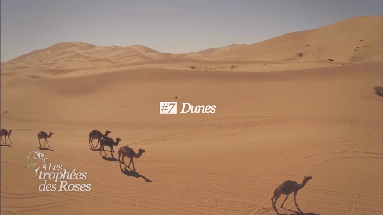 Les Trophées des Roses - Episode 7 : Les Dunes