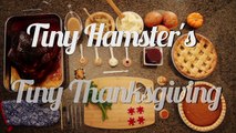 Le repas de Thanksgiving pour des hamsters ! MDR