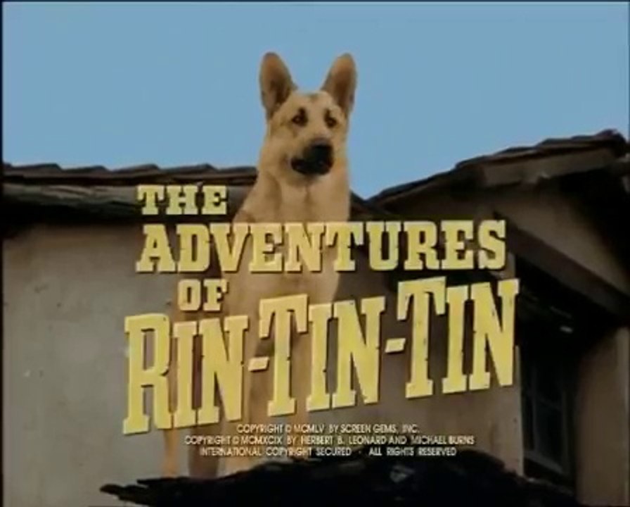RinTinTin  .  9  / Rusty demissionne deL Armee