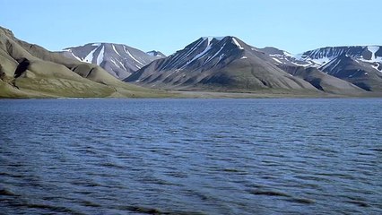 Frozen Planet clip _Episode 7_On The Ice_ BBC Earth