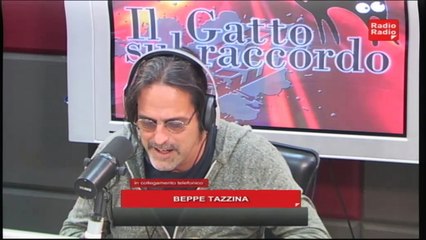 Il gatto sul raccordo - 20 novembre 2014