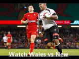 2014 Don’t miss Rugby Match Wales & New Zealand