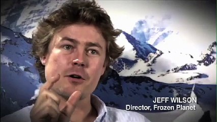 Frozen Planet clip _HUNGRY CATERPILLAR_BBC Earth