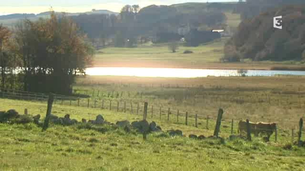Portrait de Jean-Dominique Lajoux en Lozère (Aubrac)