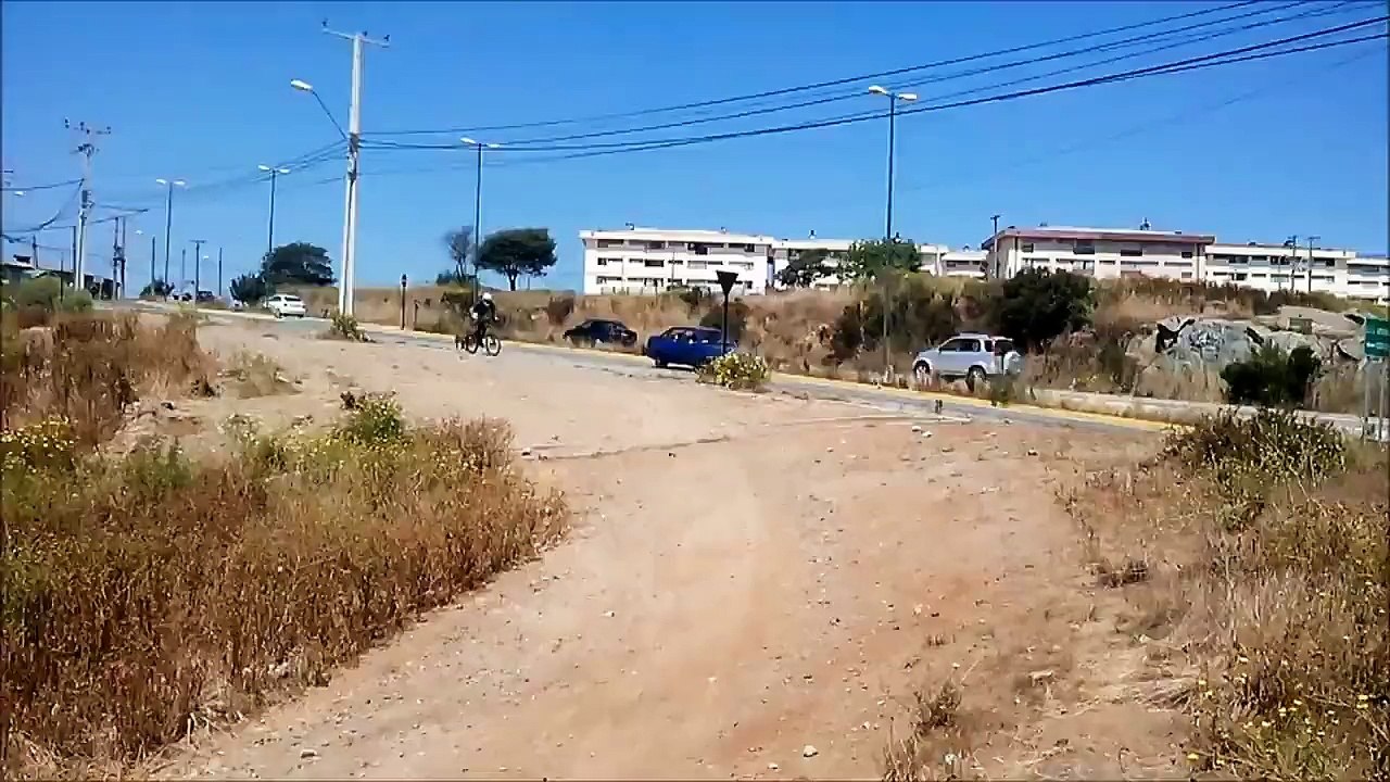Crazy dog thinking he is a BMX bike... Awesome jump but the landing is BAD!!!