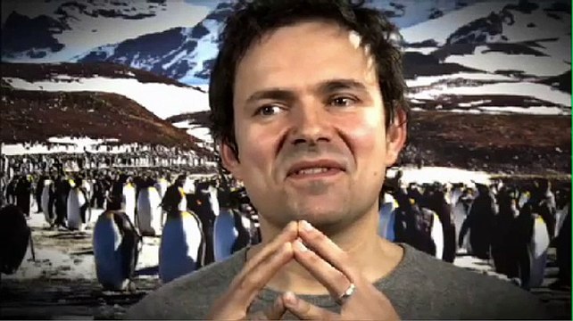 Frozen Planet clip _PENGUIN STONE STEALER_ BBC Earth