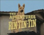 Rin-Tin-Tin  . 12  / Le retour de Rintintin