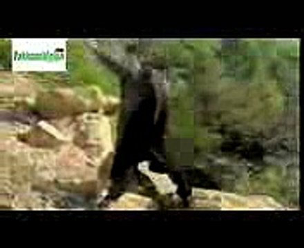 Tere Rang Rang (Abrar-Ul-Haq)mp4