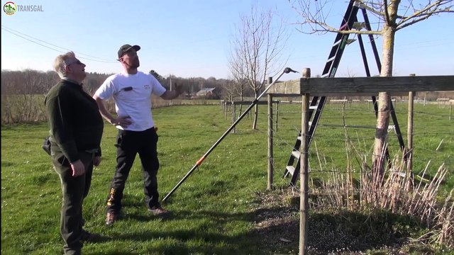 l'arbre fruitier agroforestier : plantation, protection, entretien