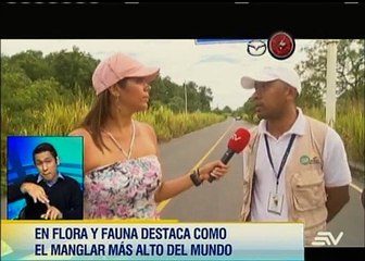 Recorra el manglar más alto del mundo en 'Ecuador Sobre Ruedas'