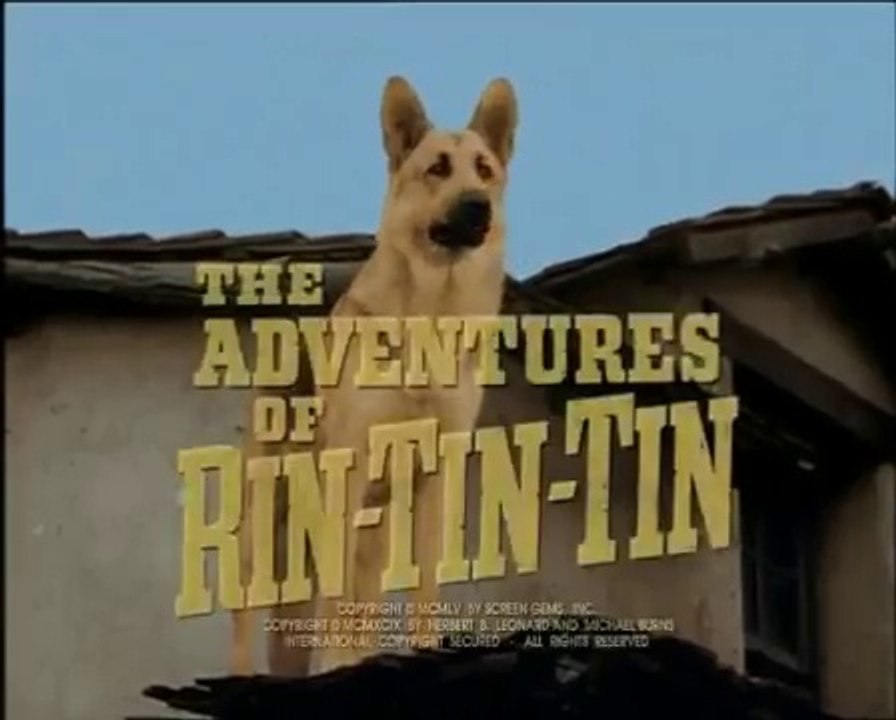 Rin-Tin-Tin . 15  / Adieu Fort Apache