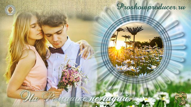 На ромашке не гадай/ Проект Proshow producer/
