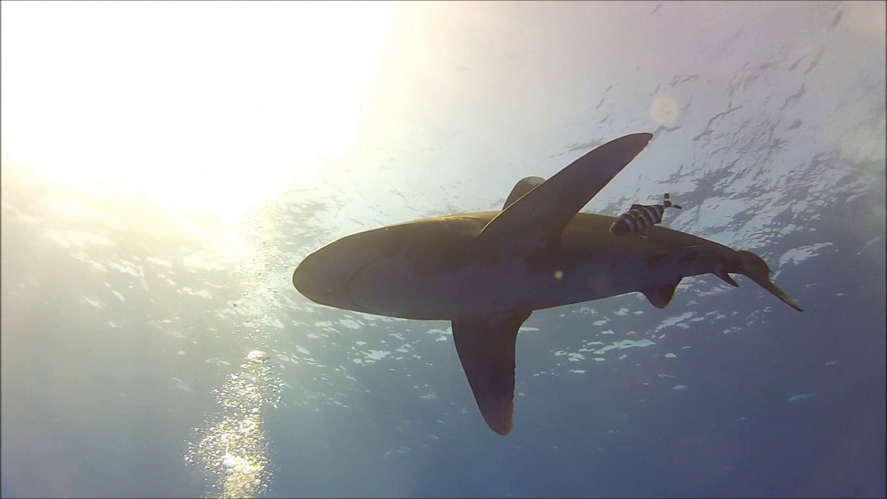 croisière BDE octobre 2014