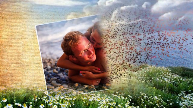 Flowers and sea / Ромашки и море / Project and styles Proshow Produser