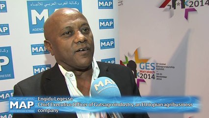 Morocco can pull Africa towards economic progress Ethiopian Operator