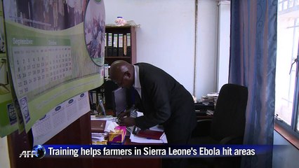 Training helps farmers in Sierra Leone's Ebola hit areas