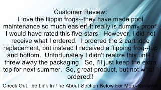 Flippin' Frog Replacement Chlorine Cartridge - 2 Pack Review