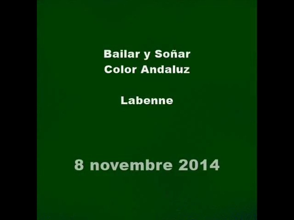 Labenne - Bailar y Soñar - Color Andaluz - 8 novembre 2014