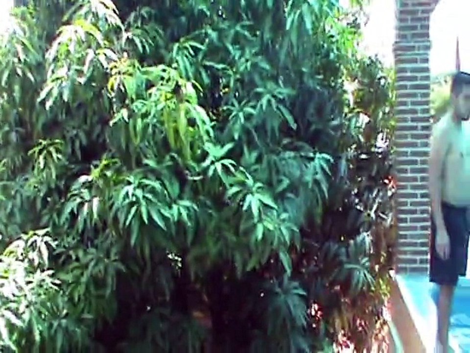 Ludi Aquatilium
